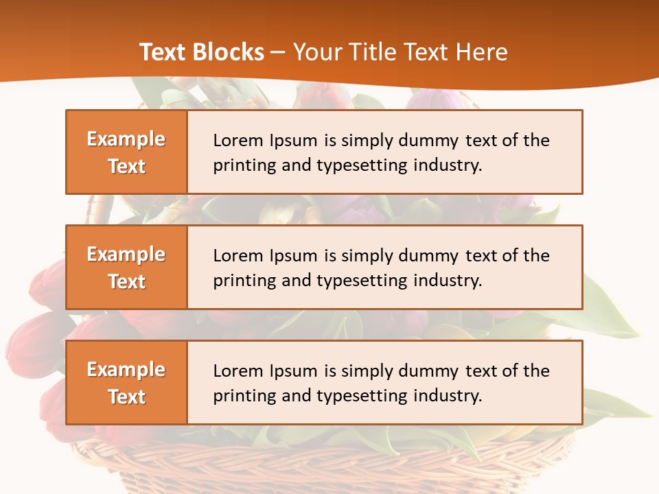 Diversity Assortment Handle PowerPoint Template