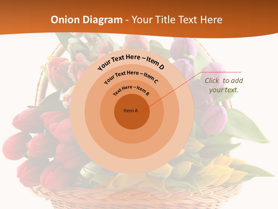 Diversity Assortment Handle PowerPoint Template