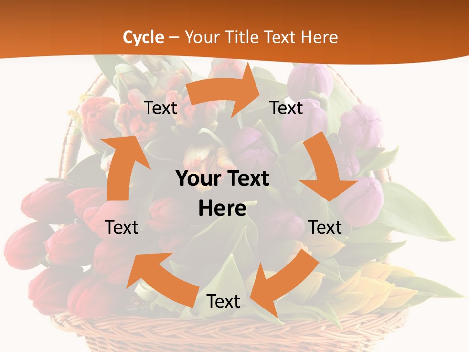 Diversity Assortment Handle PowerPoint Template