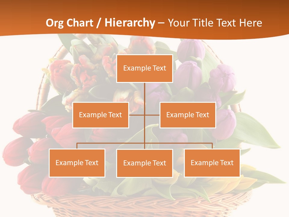 Diversity Assortment Handle PowerPoint Template