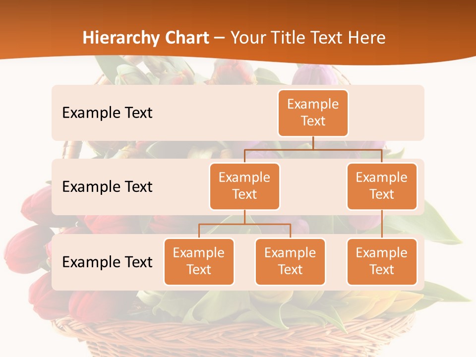 Diversity Assortment Handle PowerPoint Template