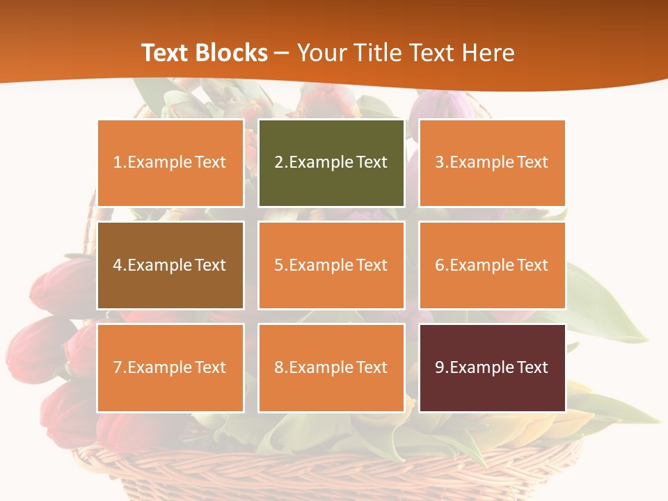 Diversity Assortment Handle PowerPoint Template