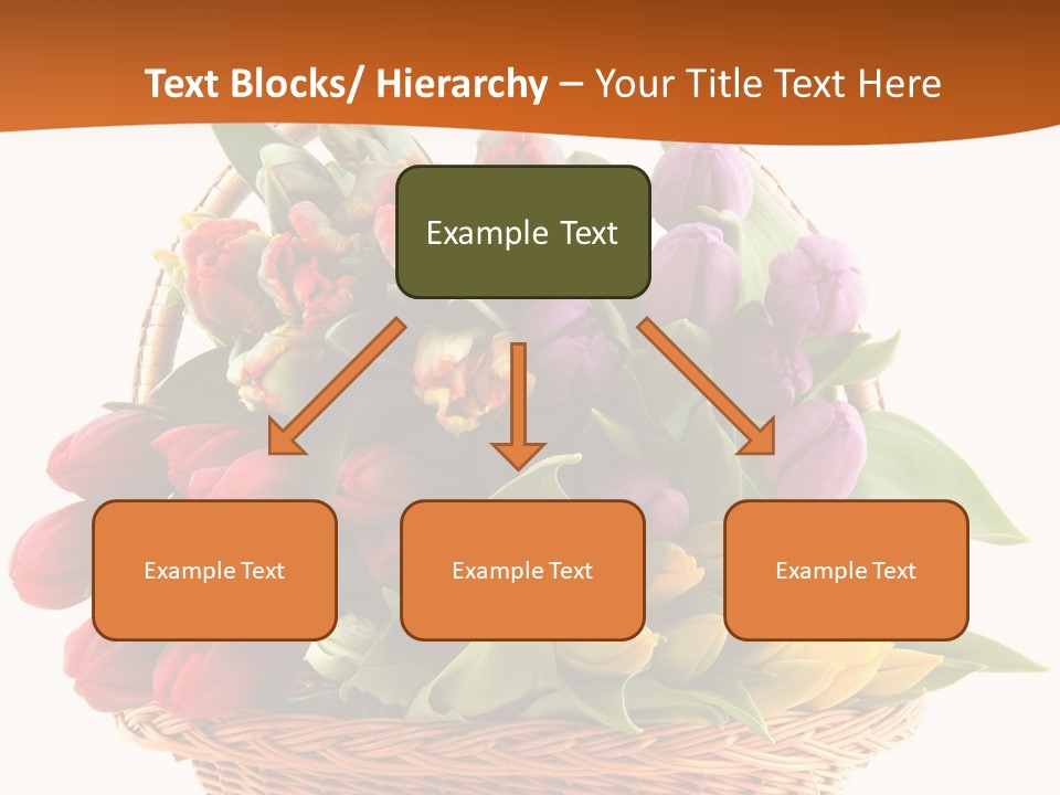 Diversity Assortment Handle PowerPoint Template