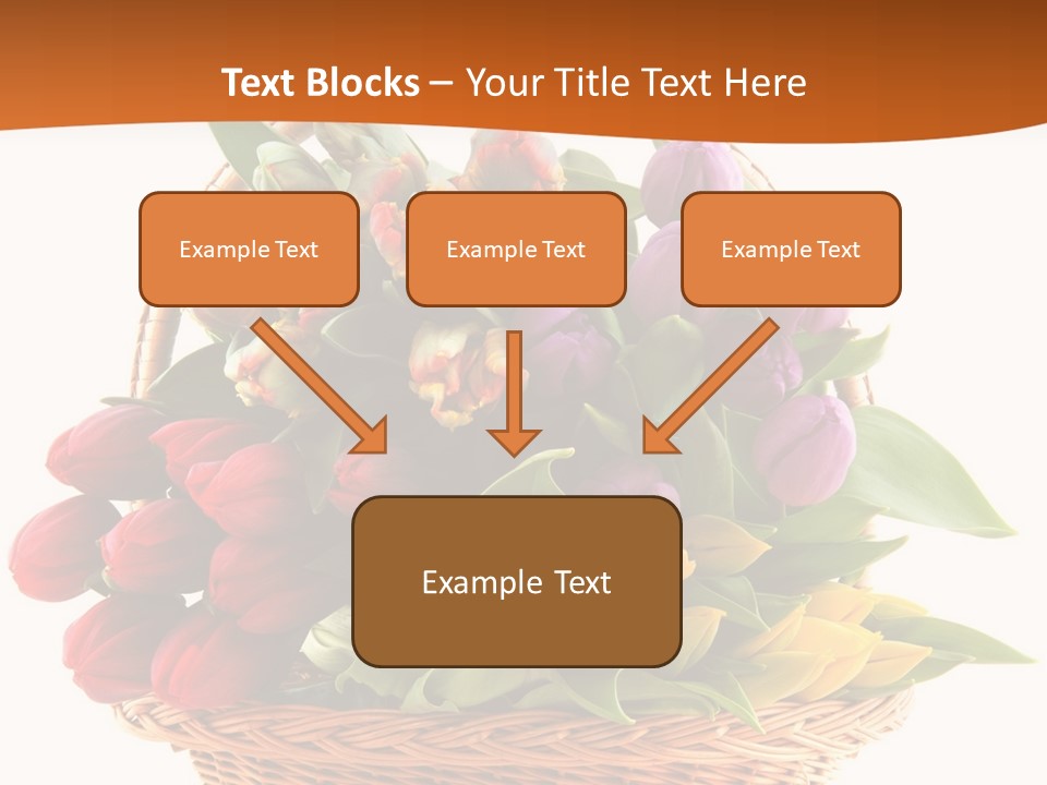 Diversity Assortment Handle PowerPoint Template