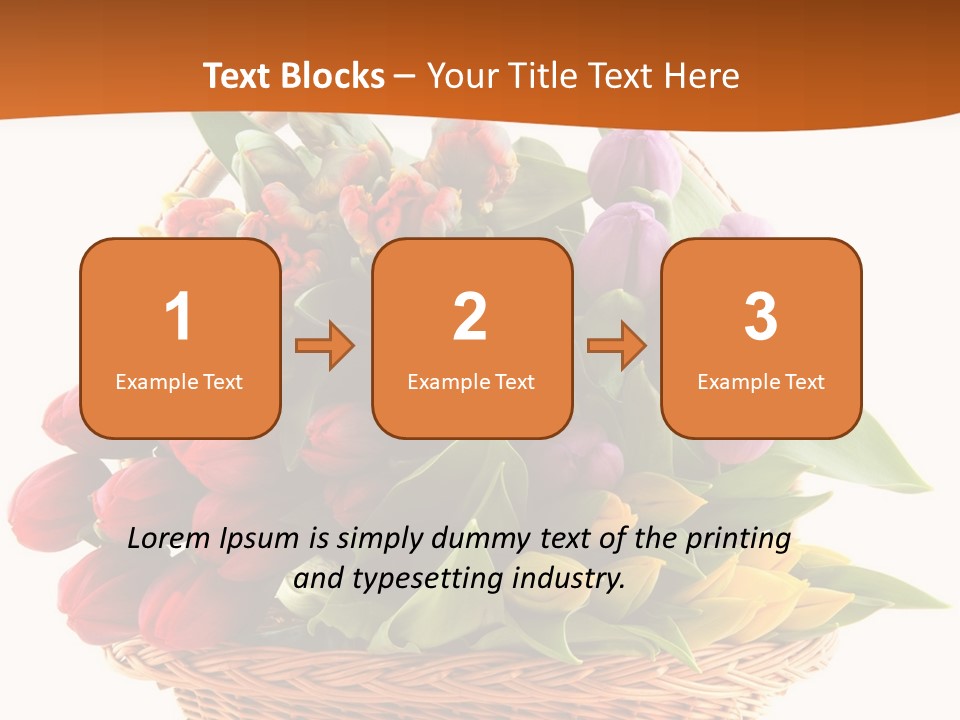 Diversity Assortment Handle PowerPoint Template