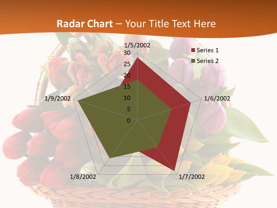 Diversity Assortment Handle PowerPoint Template