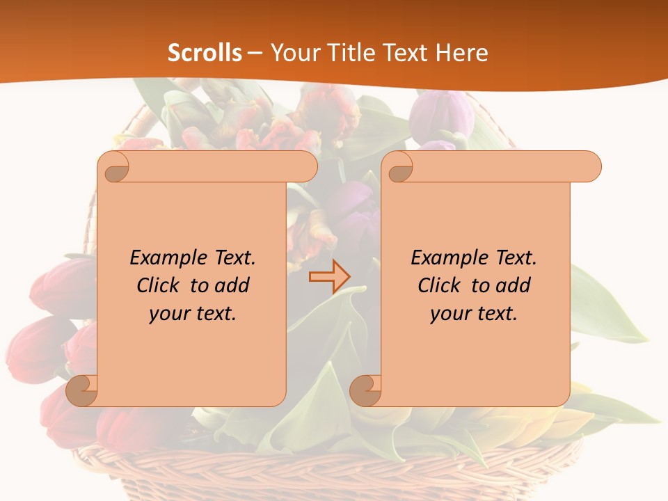 Diversity Assortment Handle PowerPoint Template