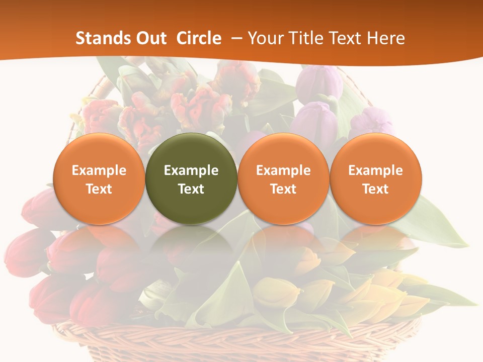 Diversity Assortment Handle PowerPoint Template