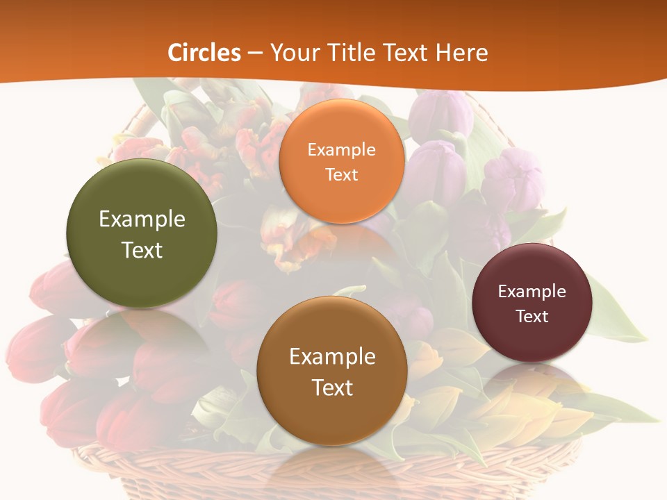 Diversity Assortment Handle PowerPoint Template
