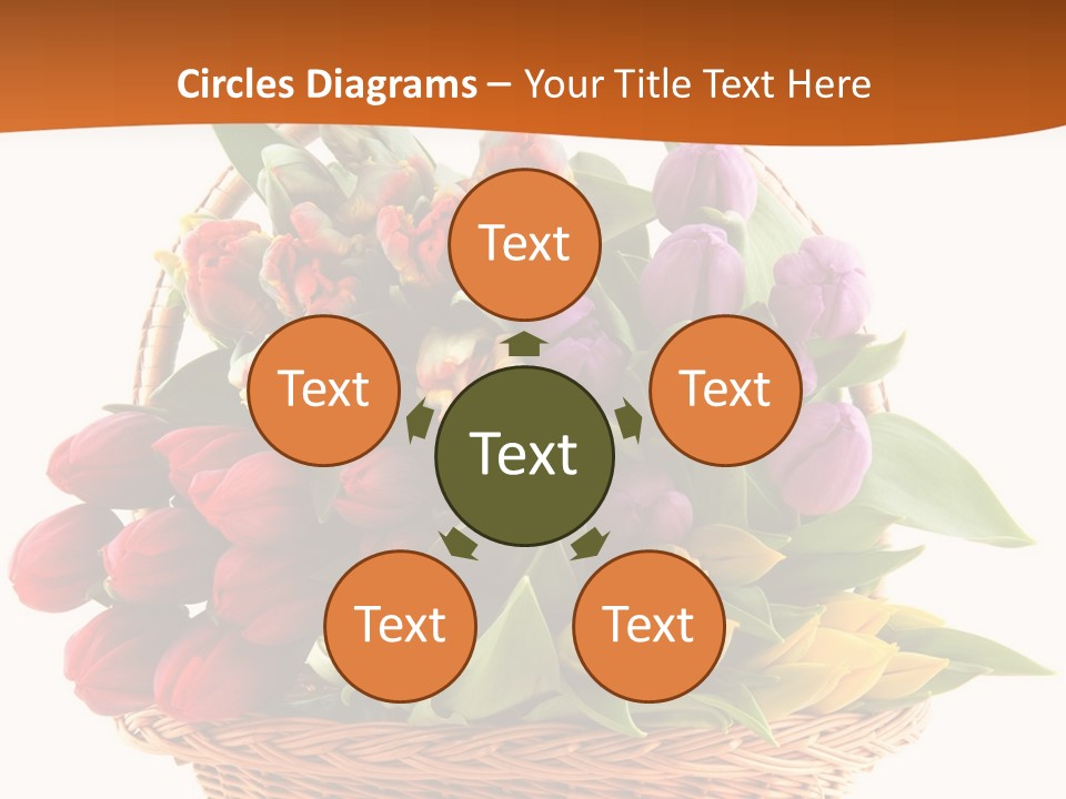 Diversity Assortment Handle PowerPoint Template