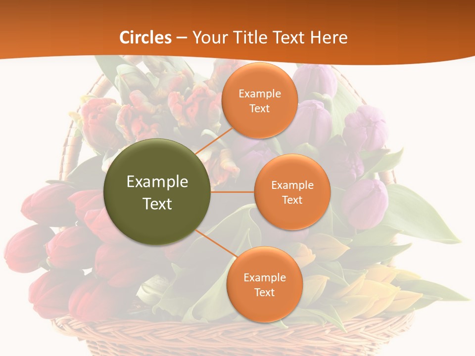 Diversity Assortment Handle PowerPoint Template