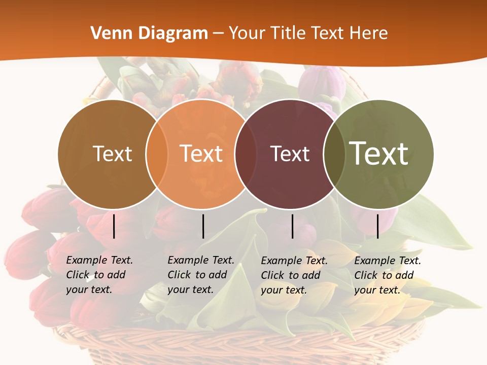 Diversity Assortment Handle PowerPoint Template