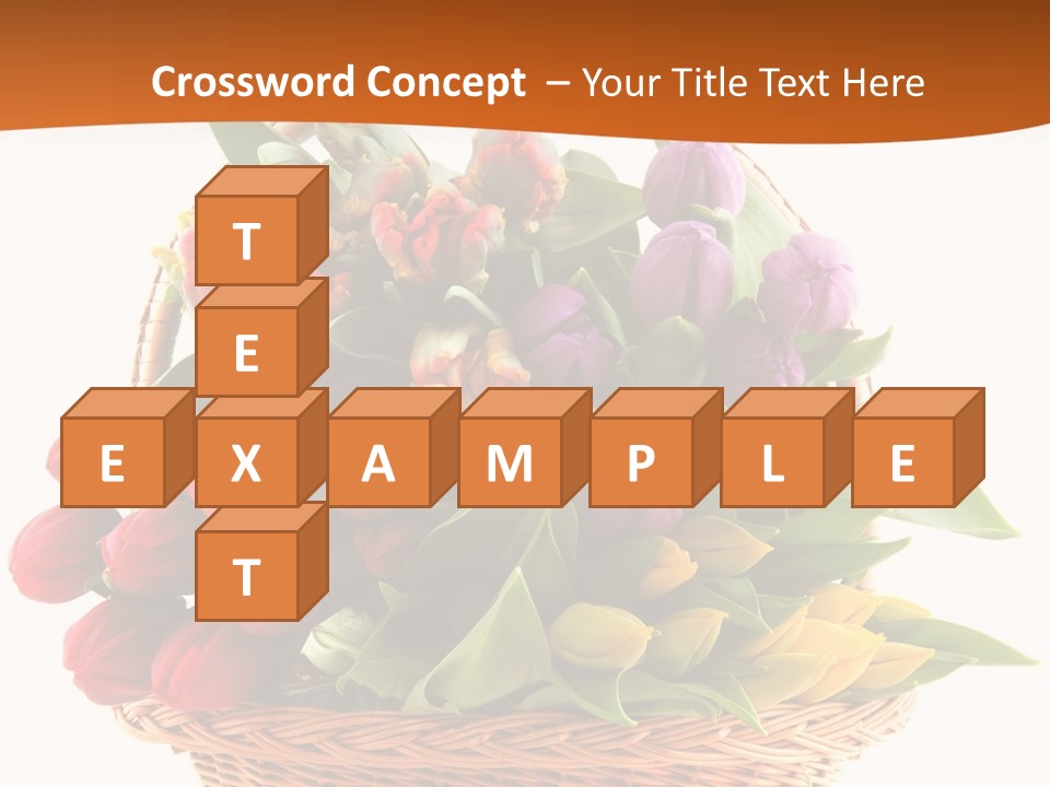 Diversity Assortment Handle PowerPoint Template