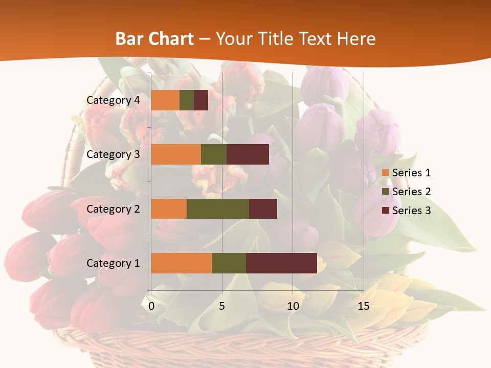 Diversity Assortment Handle PowerPoint Template
