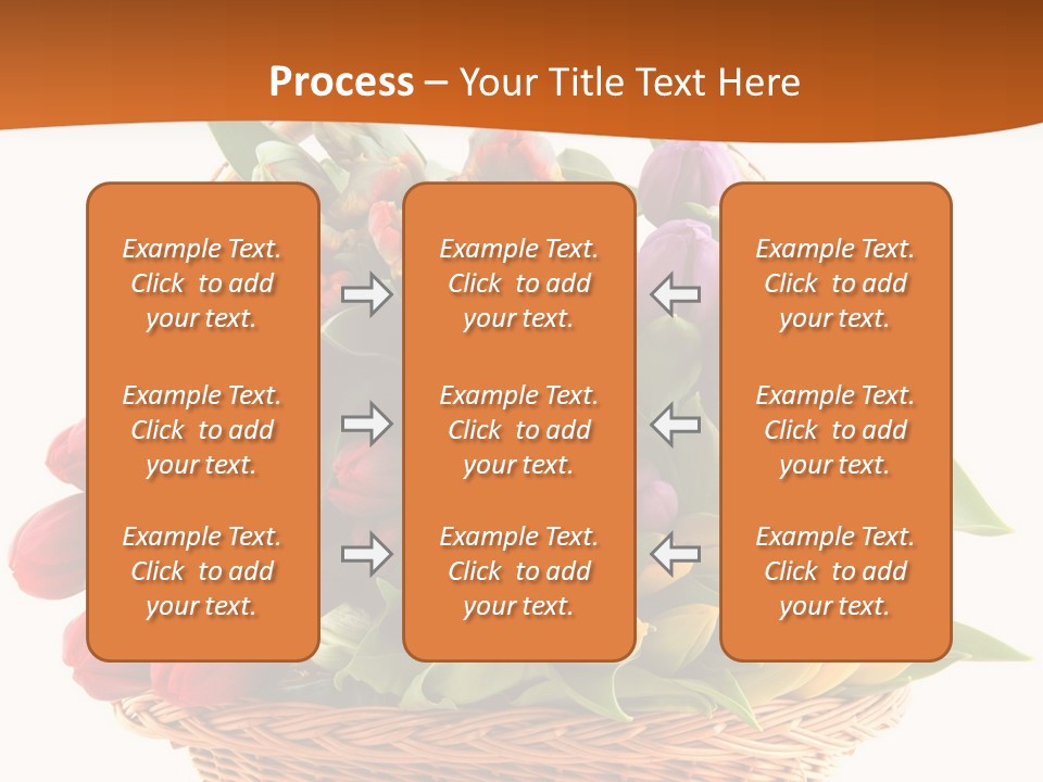 Diversity Assortment Handle PowerPoint Template