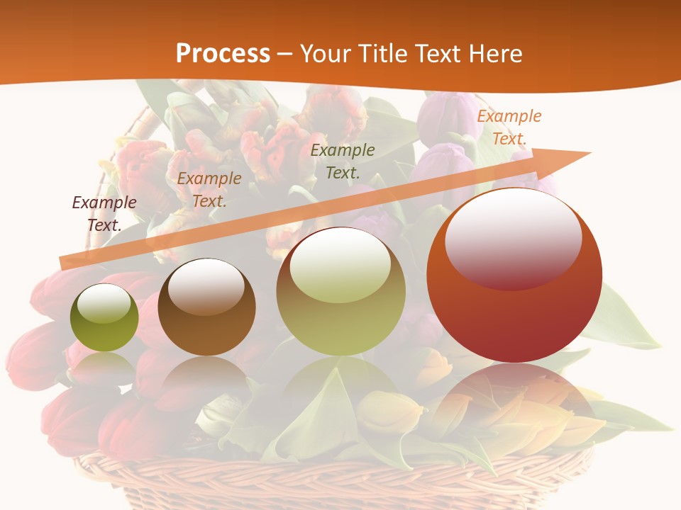 Diversity Assortment Handle PowerPoint Template