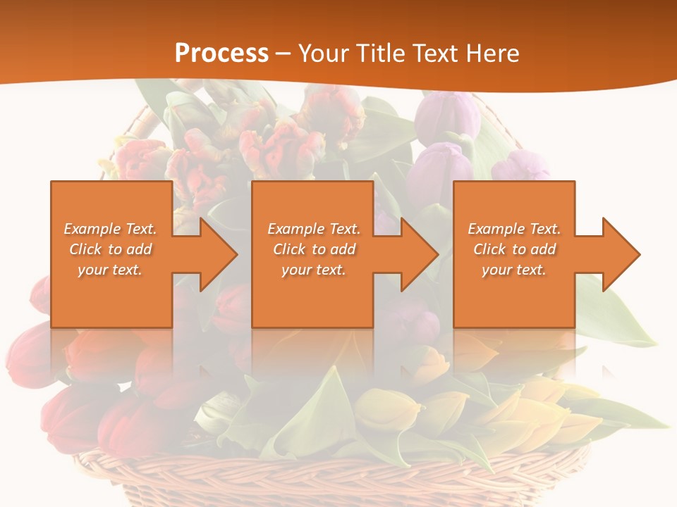 Diversity Assortment Handle PowerPoint Template