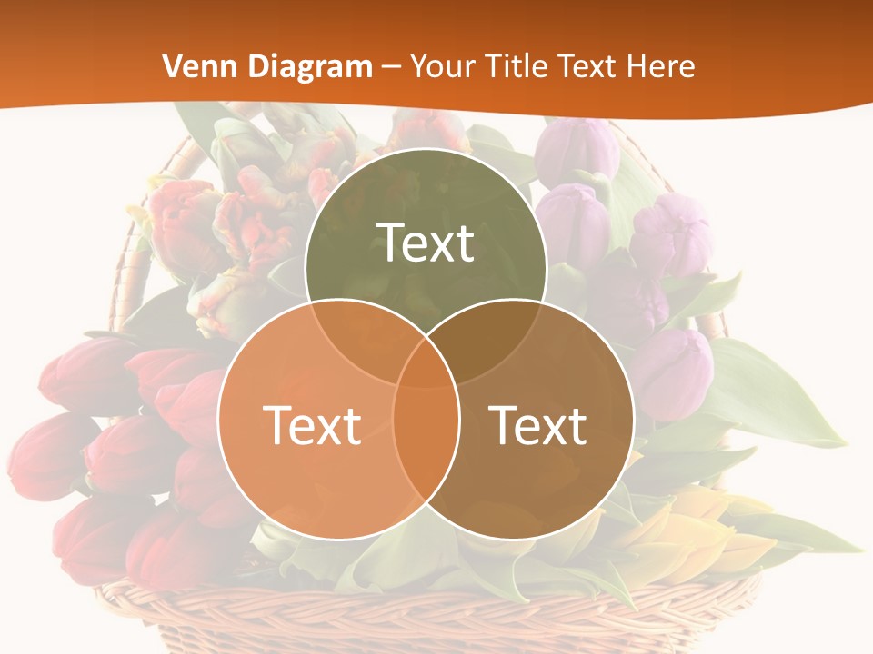 Diversity Assortment Handle PowerPoint Template