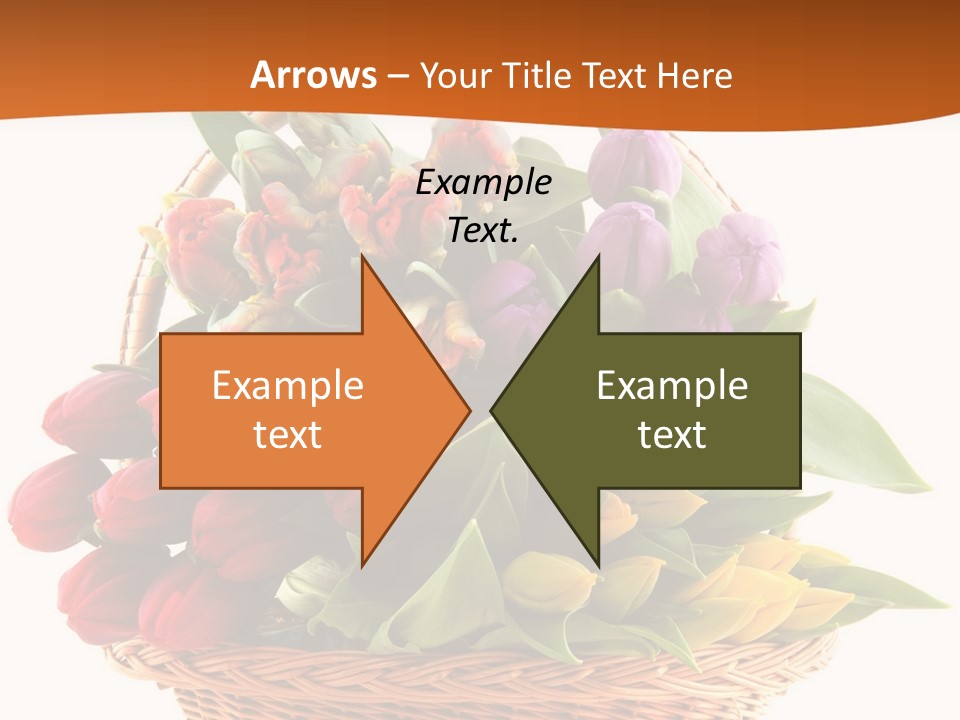 Diversity Assortment Handle PowerPoint Template