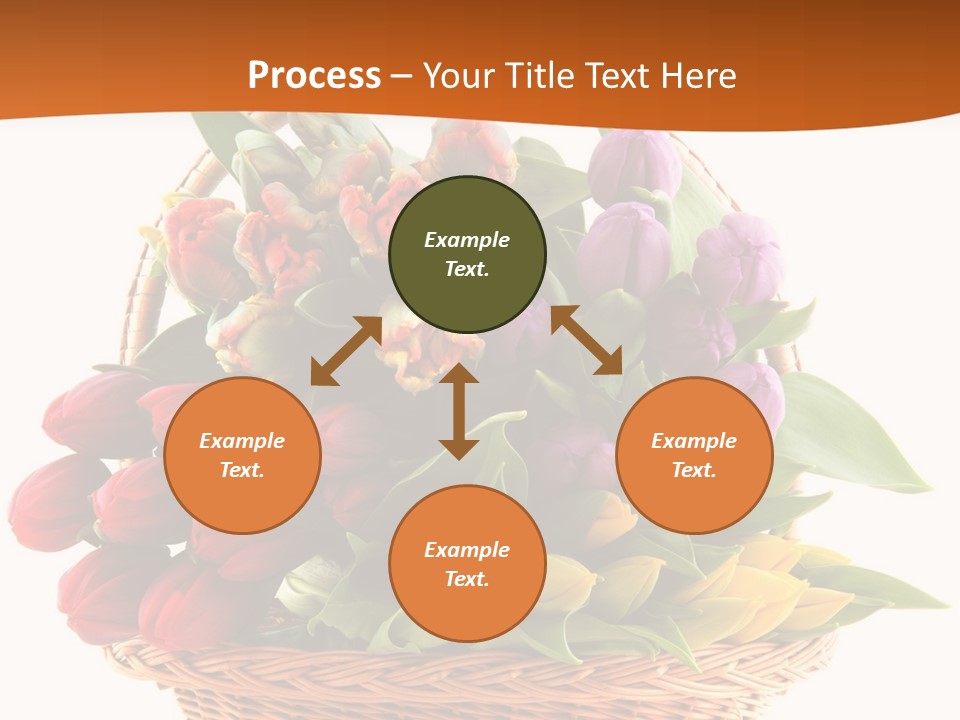 Diversity Assortment Handle PowerPoint Template