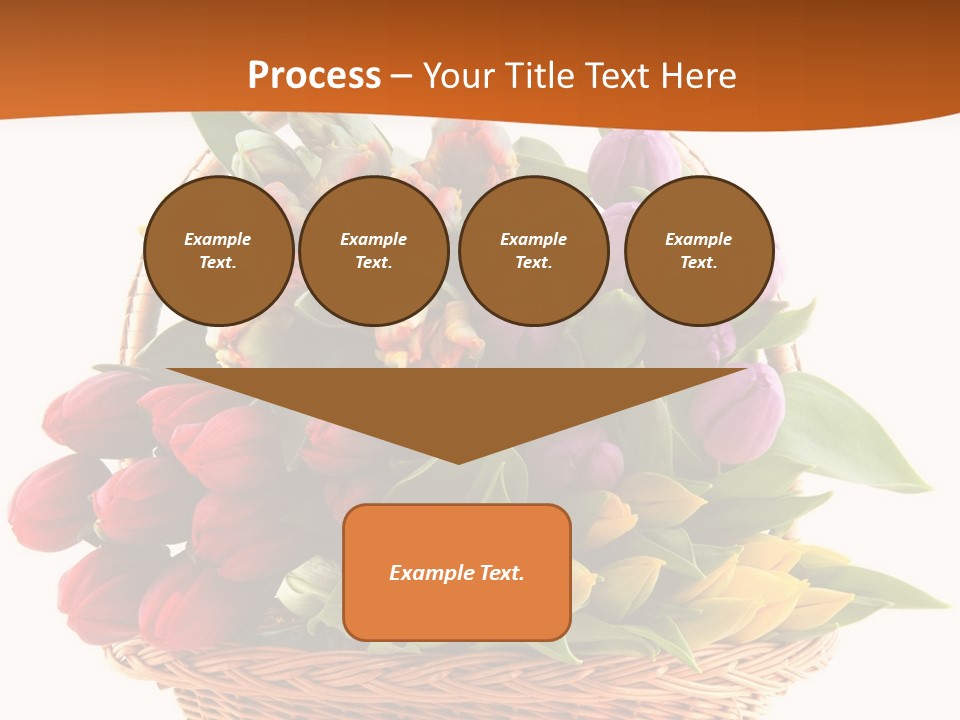 Diversity Assortment Handle PowerPoint Template