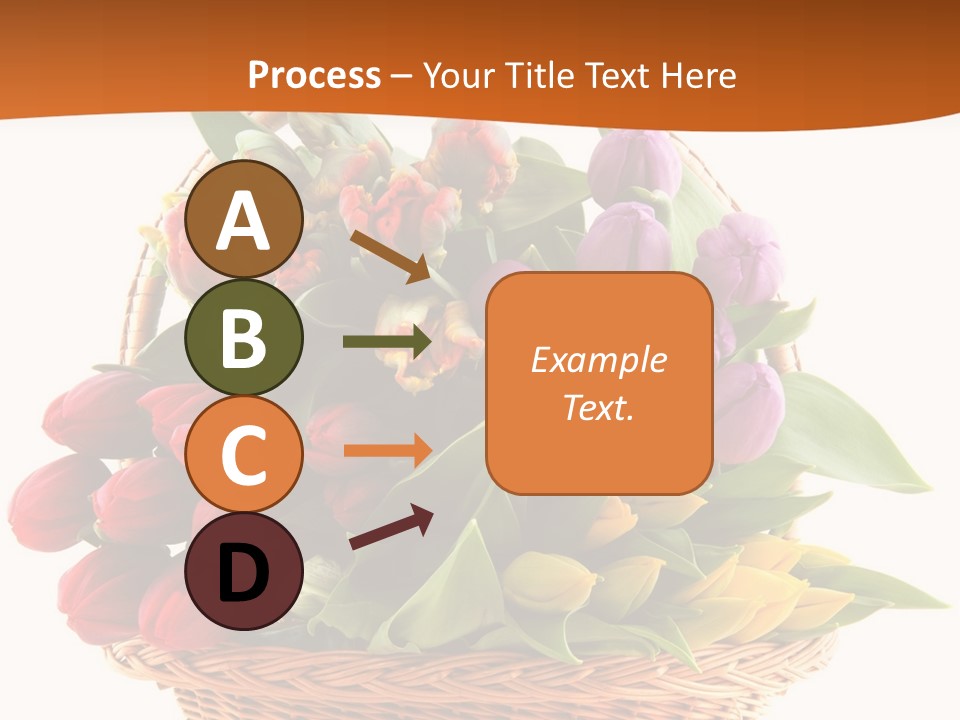 Diversity Assortment Handle PowerPoint Template