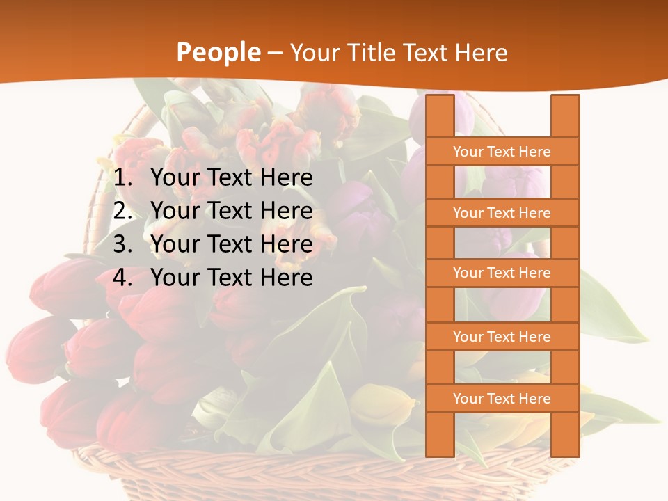 Diversity Assortment Handle PowerPoint Template