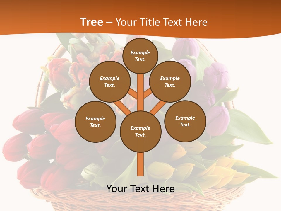 Diversity Assortment Handle PowerPoint Template