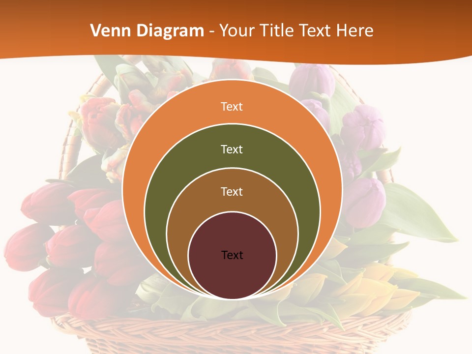 Diversity Assortment Handle PowerPoint Template