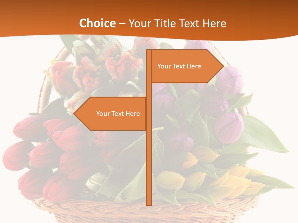 Diversity Assortment Handle PowerPoint Template