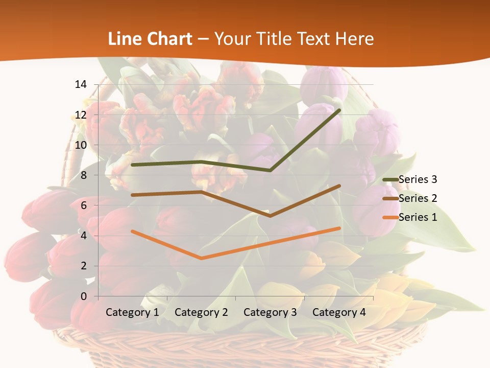 Diversity Assortment Handle PowerPoint Template