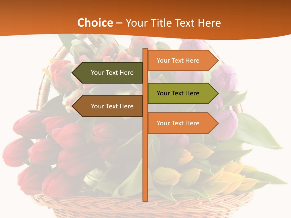 Diversity Assortment Handle PowerPoint Template