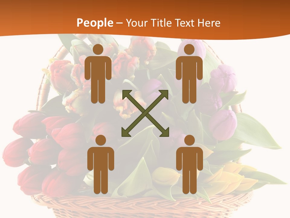 Diversity Assortment Handle PowerPoint Template