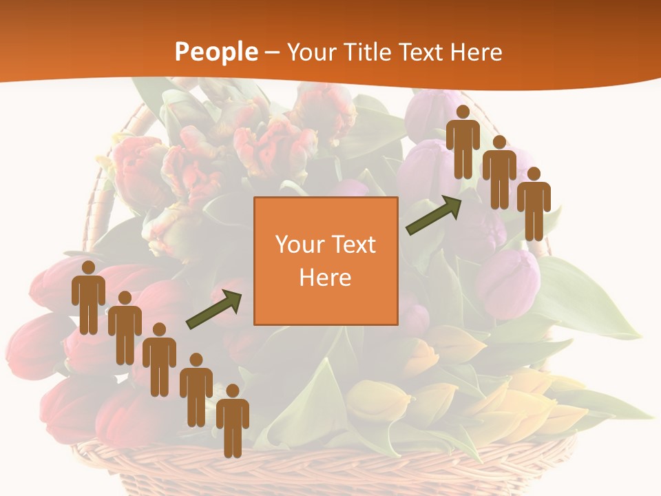 Diversity Assortment Handle PowerPoint Template