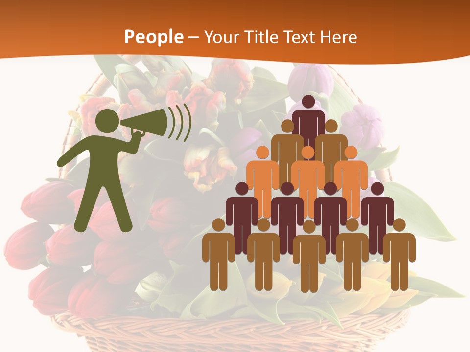 Diversity Assortment Handle PowerPoint Template