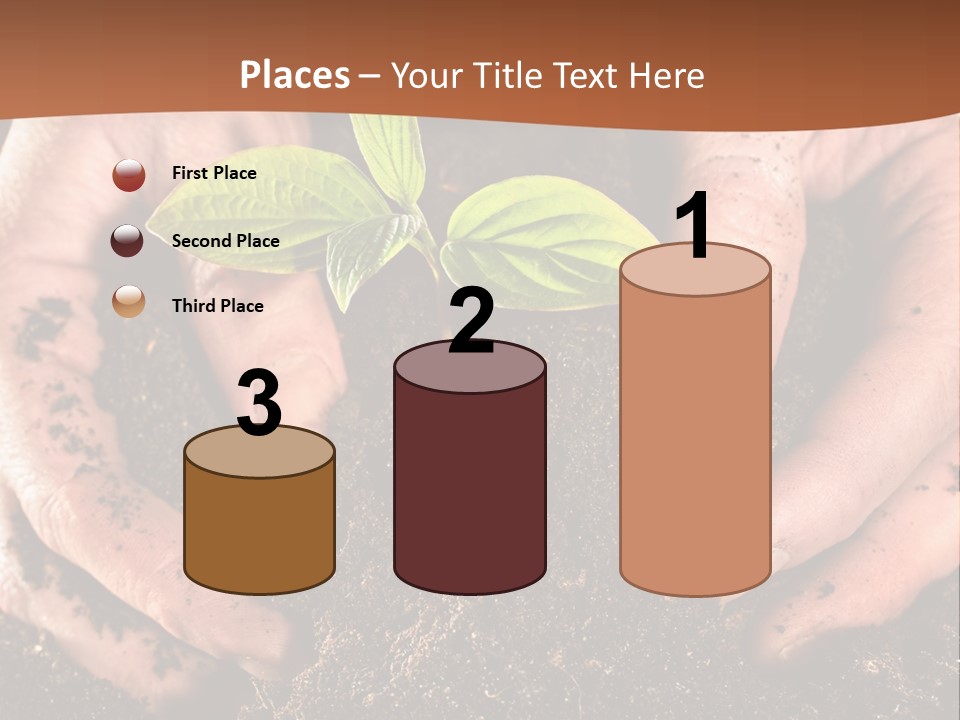 Carrying Care Life PowerPoint Template