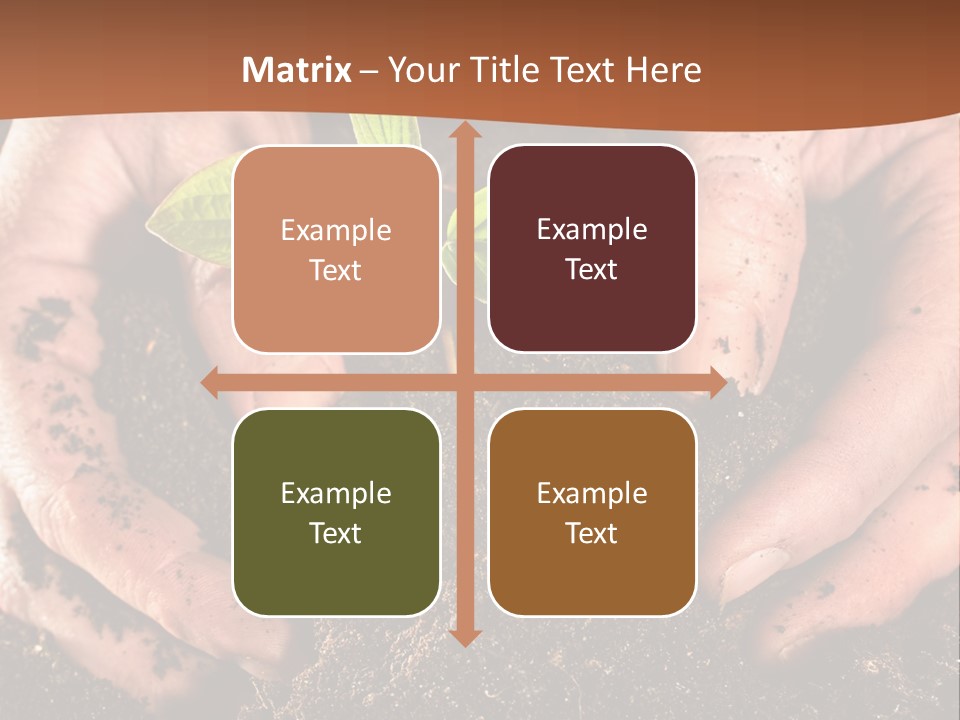 Carrying Care Life PowerPoint Template