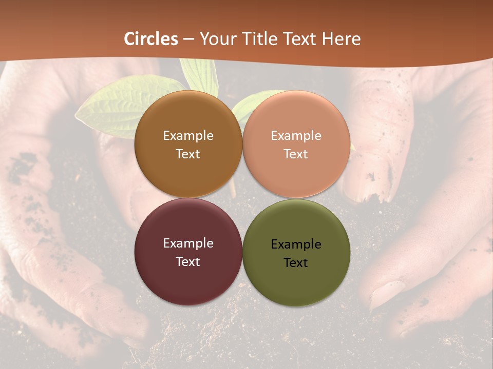 Carrying Care Life PowerPoint Template