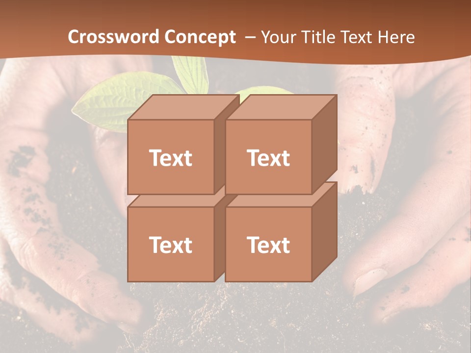 Carrying Care Life PowerPoint Template
