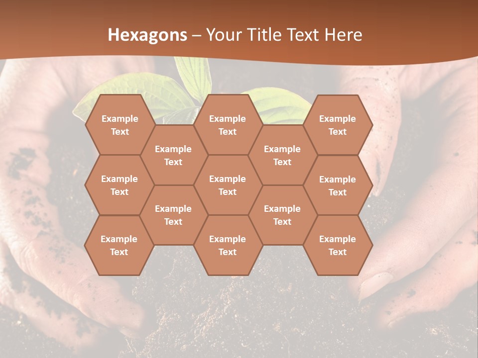 Carrying Care Life PowerPoint Template