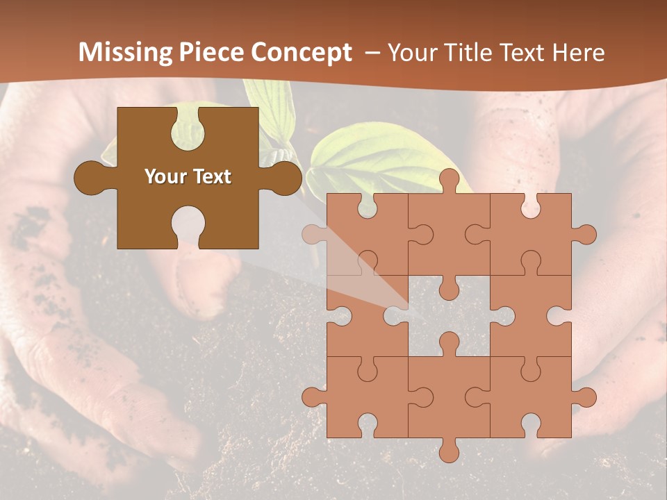 Carrying Care Life PowerPoint Template