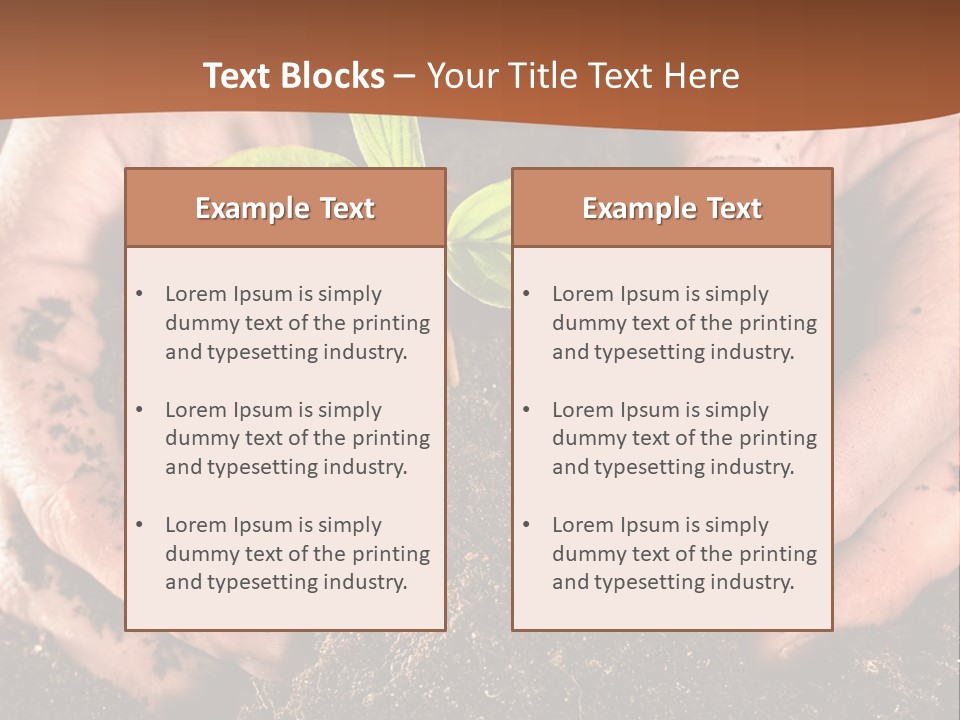 Carrying Care Life PowerPoint Template