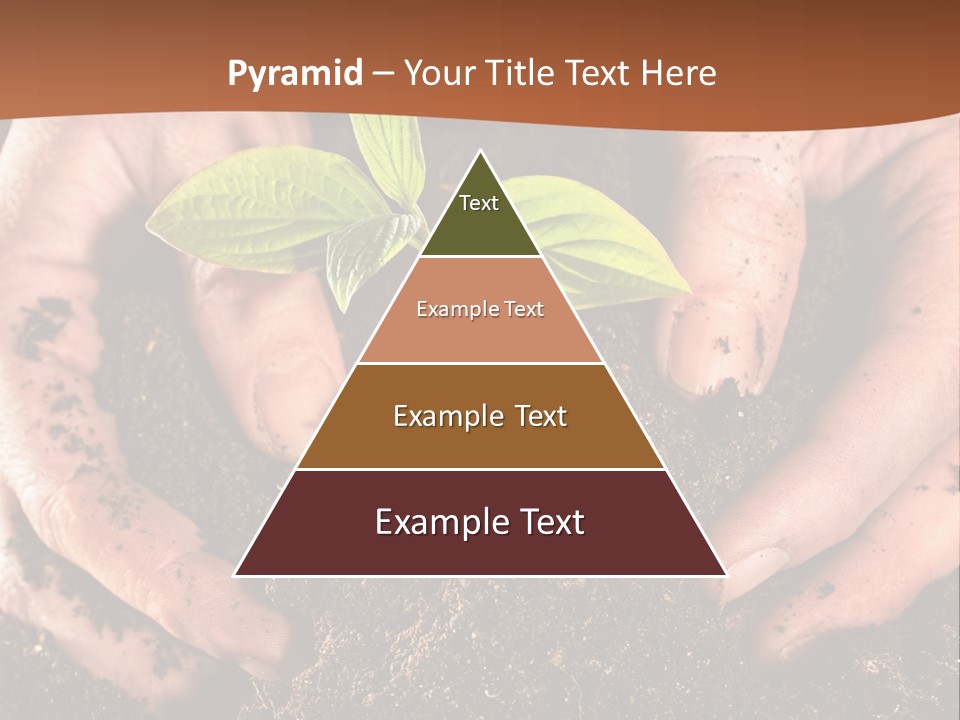 Carrying Care Life PowerPoint Template