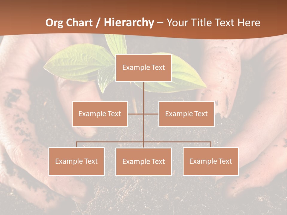 Carrying Care Life PowerPoint Template