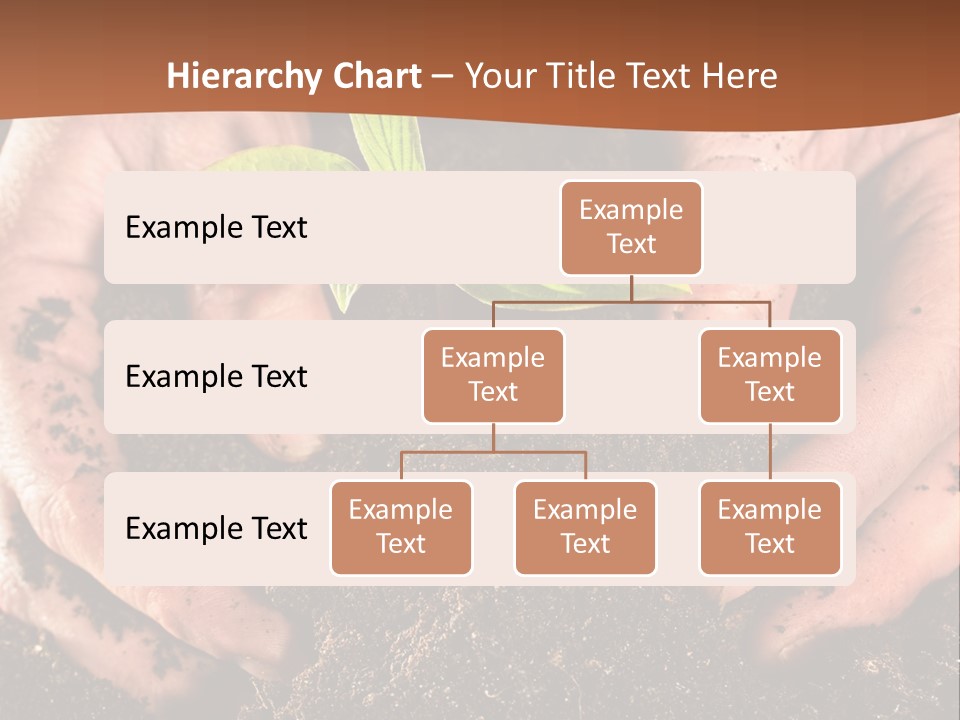 Carrying Care Life PowerPoint Template