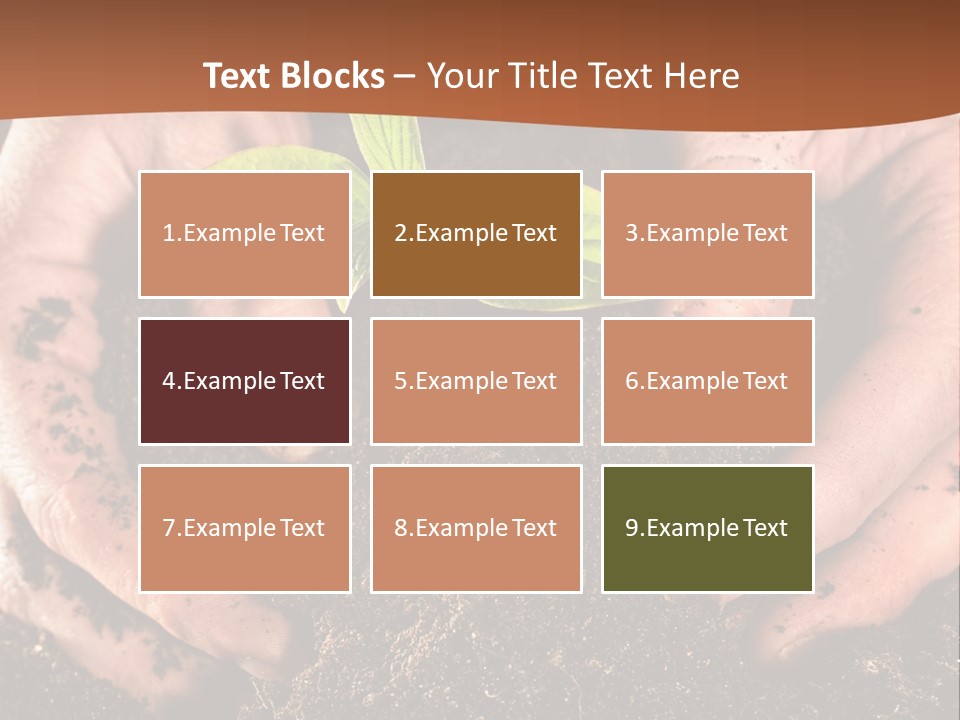 Carrying Care Life PowerPoint Template