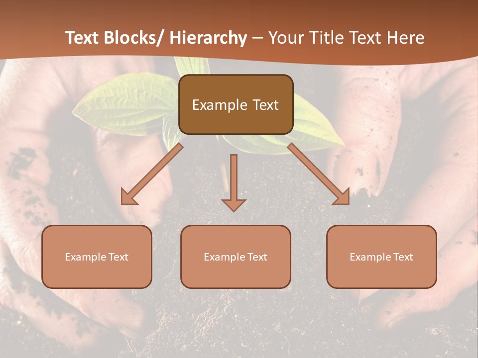 Carrying Care Life PowerPoint Template