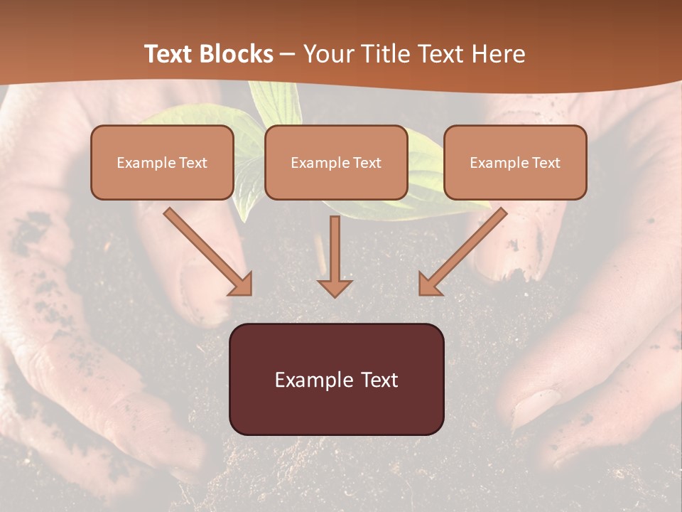 Carrying Care Life PowerPoint Template