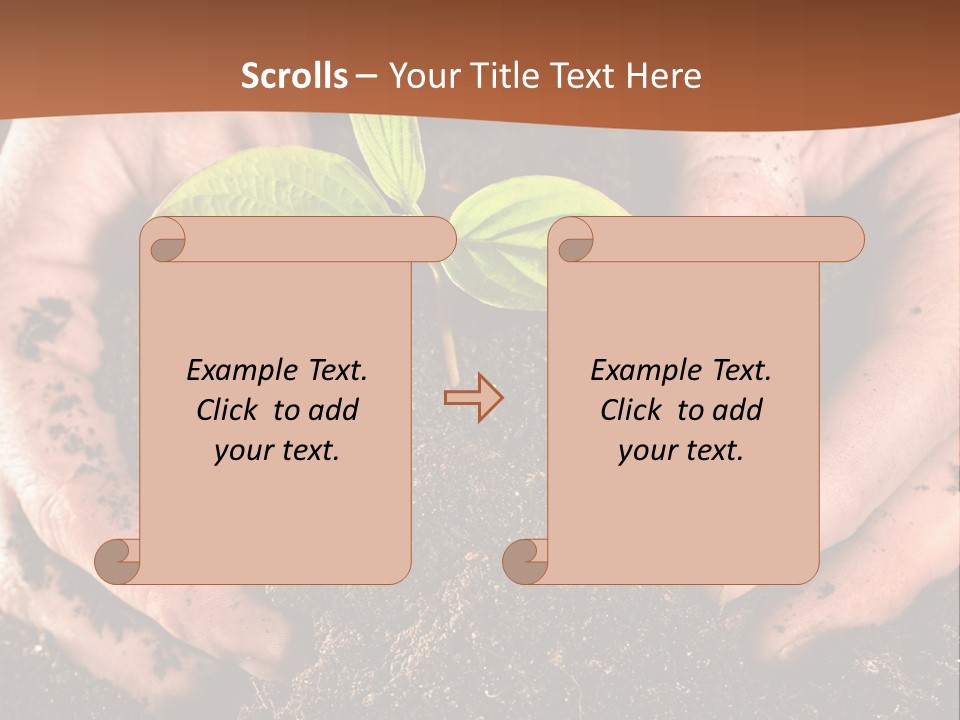 Carrying Care Life PowerPoint Template