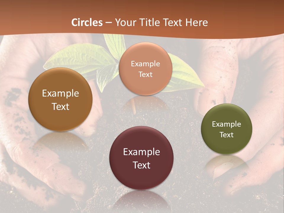 Carrying Care Life PowerPoint Template